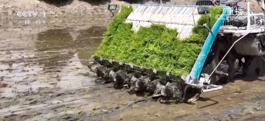 延安1.jpg
